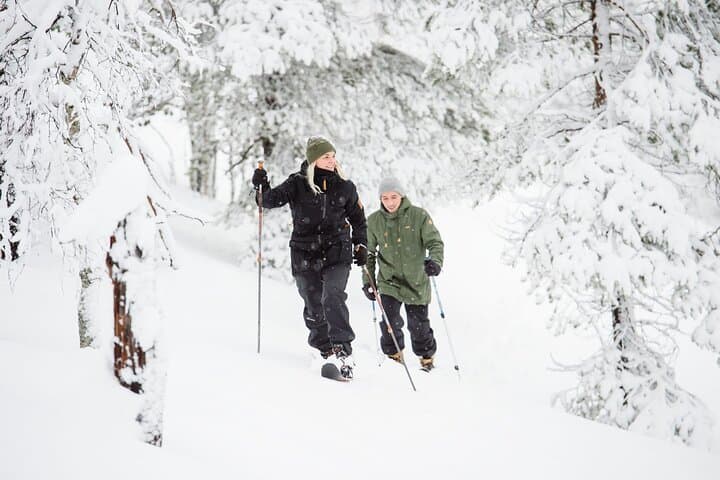 Premium Wilderness Skiing in Pyhä-Luosto National Park — Altai Ski Tour photo 2
