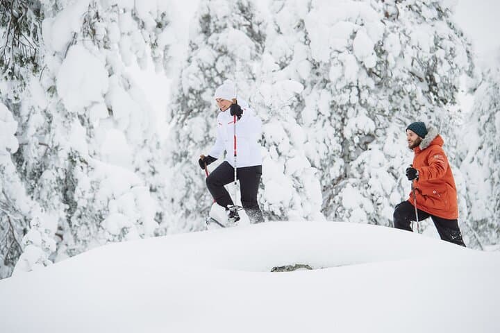 Premium Snowshoeing on Pyhä Fell: Arctic Taiga, Chairlift Vistas & Bonfire Meals