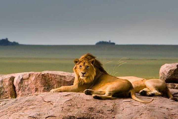 5-Day Private Safari: Ngorongoro, Serengeti & Lake Manyara Adventure photo 1