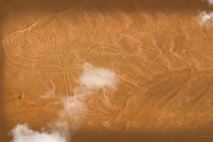 Ballestas Islands and Nazca Lines Day Tour from San Martín Port photo 3