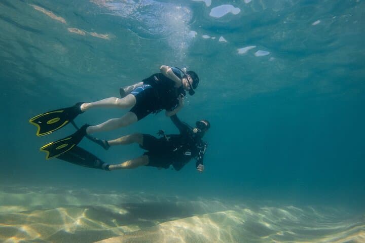 Private Beginner Scuba Diving in Cabo San Lucas — 1:1 Reef Intro
