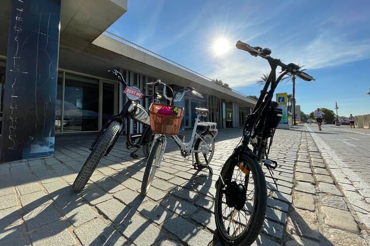 Explore Seville by Electric Folding Bike — 7-Hour Rental Guide