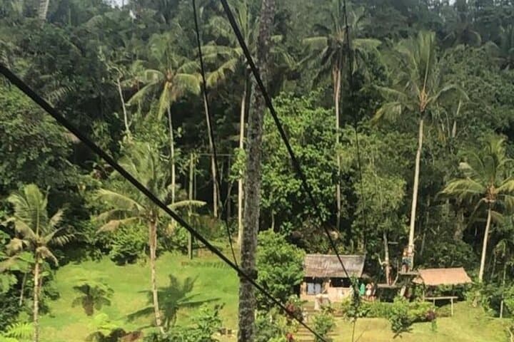 Full-Day Bali Waterfalls, Coffee Tasting & Tegalalang Rice Terrace Private Tour photo 2