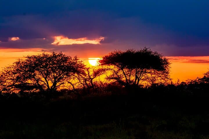 11-Day Lake-Hopping Safari: Arusha to Serengeti, Ngorongoro & Lake Natron photo 6