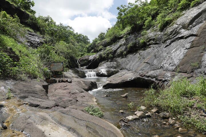 Aurangabad to Ellora & Pitalkhora: Full-Day Ancient Caves Expedition photo 3