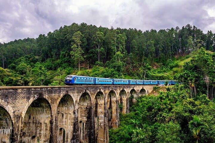 Discover Sri Lanka: Heritage, Wildlife, and Waves Adventure photo 4