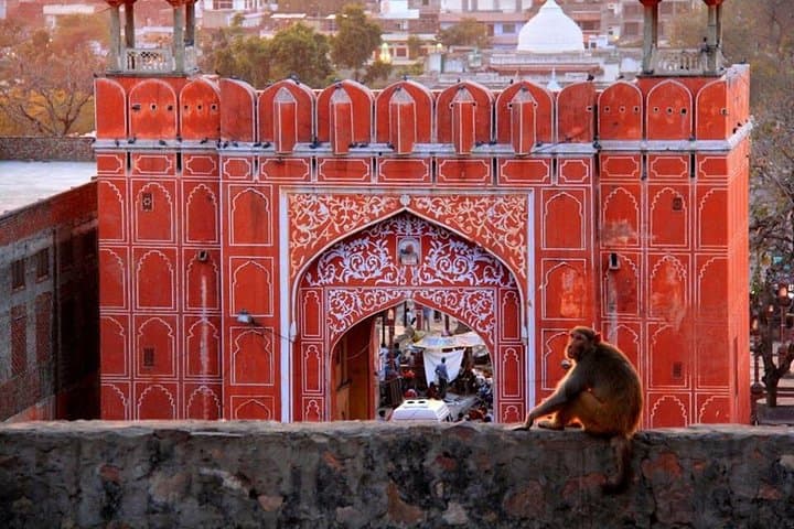 Overnight Jaipur Private Tour from Mumbai — Flights, Forts & Pink City Highlights photo 4