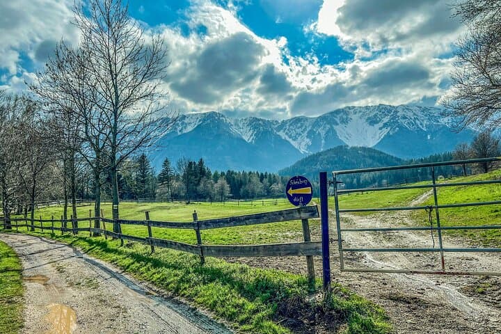 Schneeberg Valley Hike — Waterfalls, Pine Forests & Puchberg Views photo 2