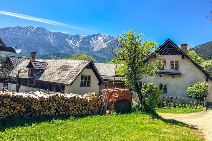 Schneeberg Valley Hike — Waterfalls, Pine Forests & Puchberg Views