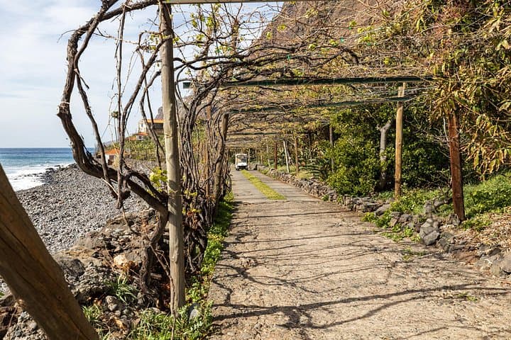 Fajã dos Padres Private Visit — Cable Car, Organic Farms & Pebble Beach in Madeira photo 6