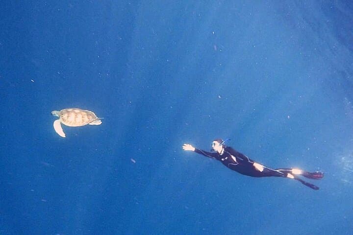 Snorkel With Turtles and Rays in Tenerife's Rayas Zone photo 4