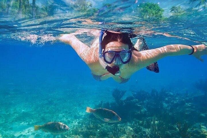 Akumal Turtles & Cenote Swim — Private Half-Day Tour from Playa del Carmen photo 2