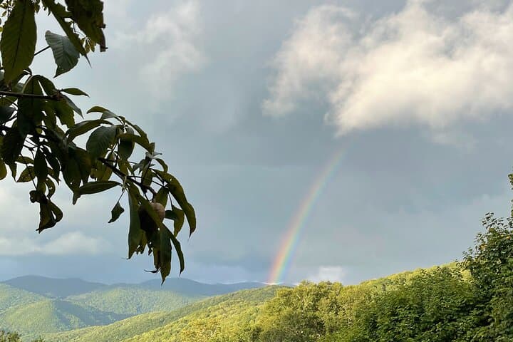 Smoky Mountain Cherokee & Blue Ridge Parkway Jeep Safari: Mile-High Views, Elk Meadows & Waterfalls photo 5