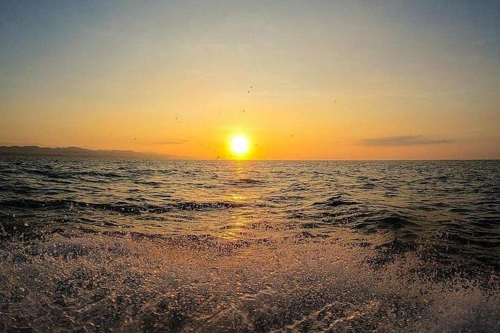 Sunrise Dolphin Watching in Puerto Escondido — Dawn Boat Tour & Wildlife photo 4