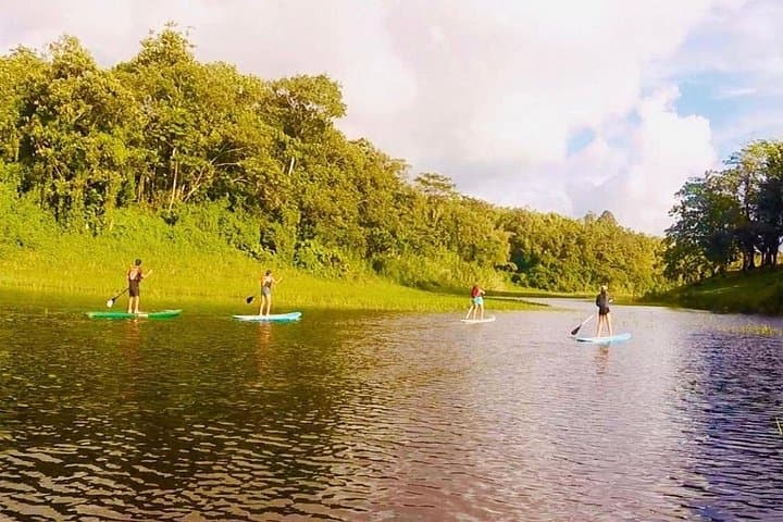 Stand-Up Paddleboard Private Tour on Lake Arenal — Nuevo Arenal SUP Adventure