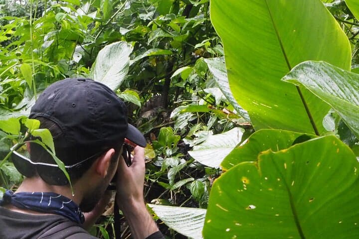 Extreme Private Amazon Experience: 5-Day Leticia Jungle Adventure