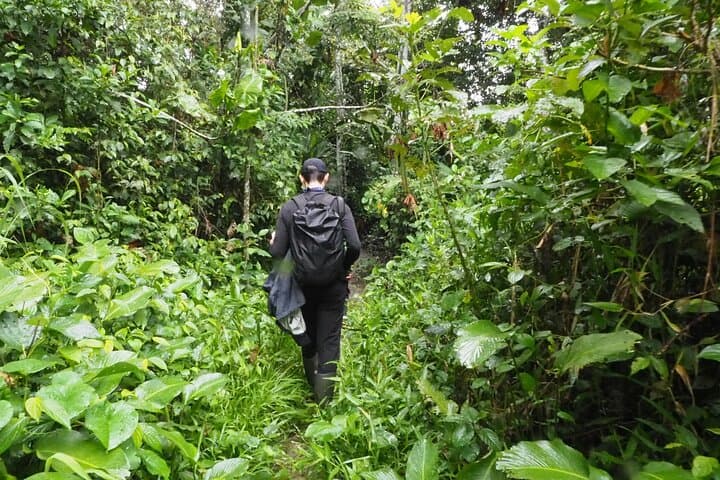 Extreme Private Amazon Experience: 5-Day Leticia Jungle Adventure photo 3