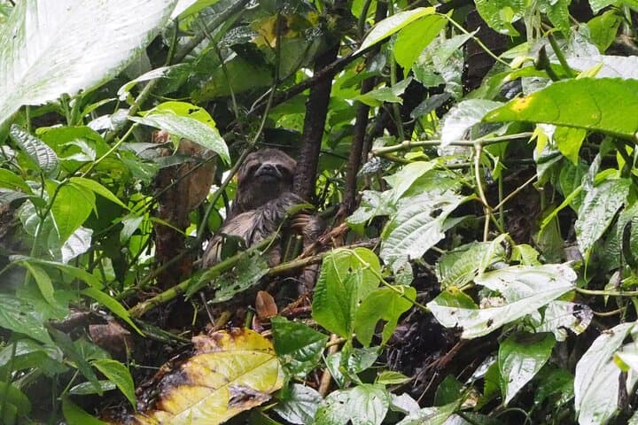 Extreme Private Amazon Experience: 5-Day Leticia Jungle Adventure photo 2