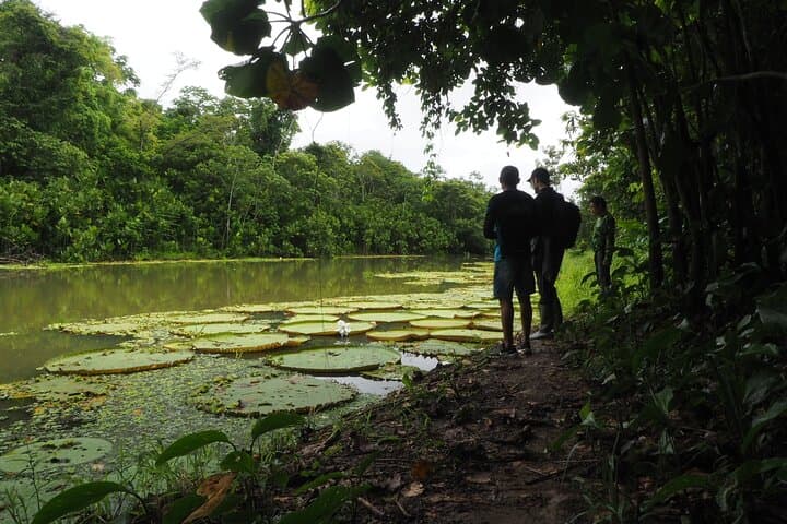 Extreme Private Amazon Experience: 5-Day Leticia Jungle Adventure photo 4