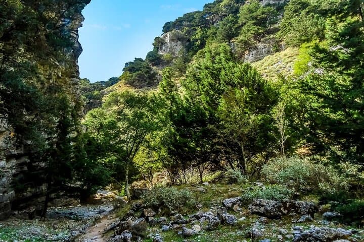 Imbros Gorge Day Hike from Rethymno: Walk Crete’s Lush 8-km Canyon photo 5