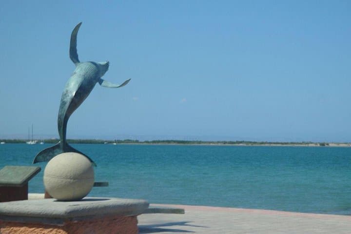 Full-Day La Paz and Todos Santos Tour: Balandra Beach, Mission & Town Walk photo 4