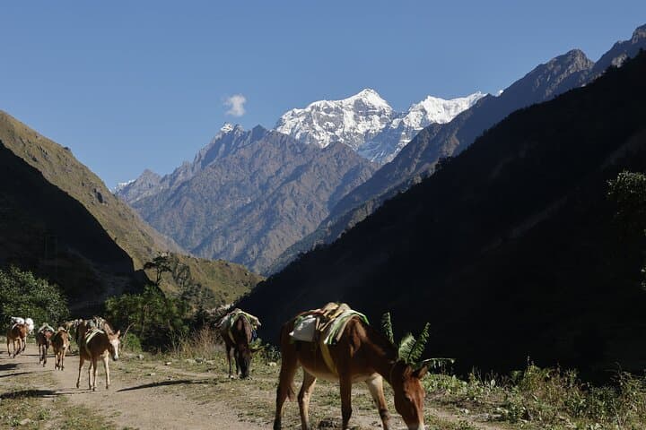 15-Day Manaslu Circuit Trek Around Mt. Manaslu — Complete Guide photo 5