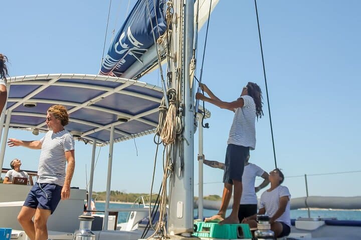 Tamarindo Private Morning Catamaran: Dolphins, Snorkel & Brunch Cruise photo 4