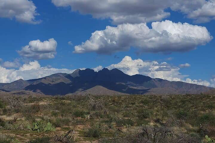 Four Peaks Off-Road Adventure Tour from Phoenix — Saguaro Lake to Four Peaks Summit