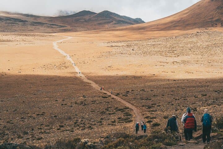 5-Day Marangu Route Kilimanjaro Hike — Hut Route to Uhuru Peak