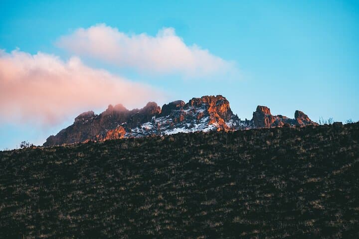 5-Day Marangu Route Kilimanjaro Hike — Hut Route to Uhuru Peak photo 3