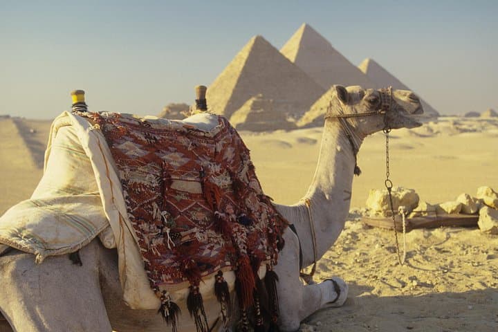 Giza Pyramids, Saqqara & Memphis: Private Day Tour with Camel Ride and VIP Lunch photo 2