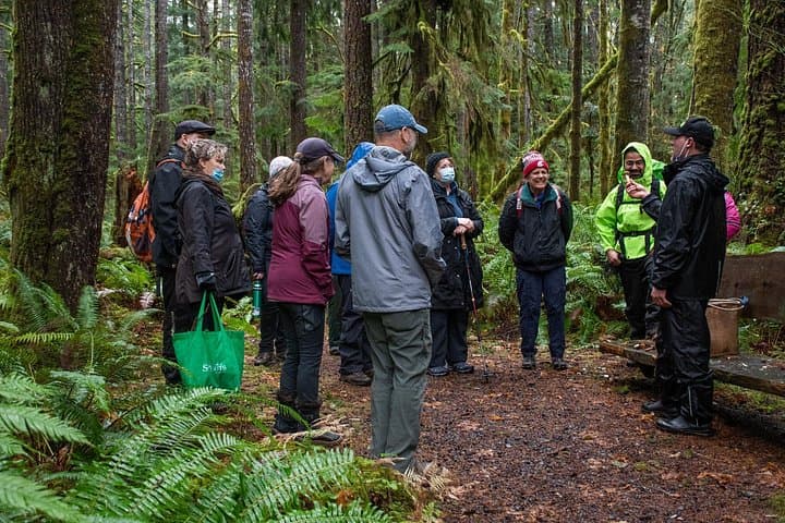Foraging the Olympic Peninsula: Wild Edibles & Mushroom Walk near Brinnon photo 3