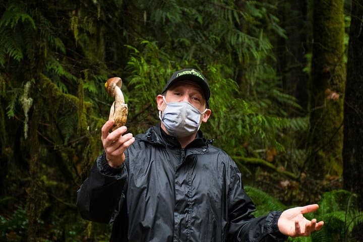 Foraging the Olympic Peninsula: Wild Edibles & Mushroom Walk near Brinnon photo 4