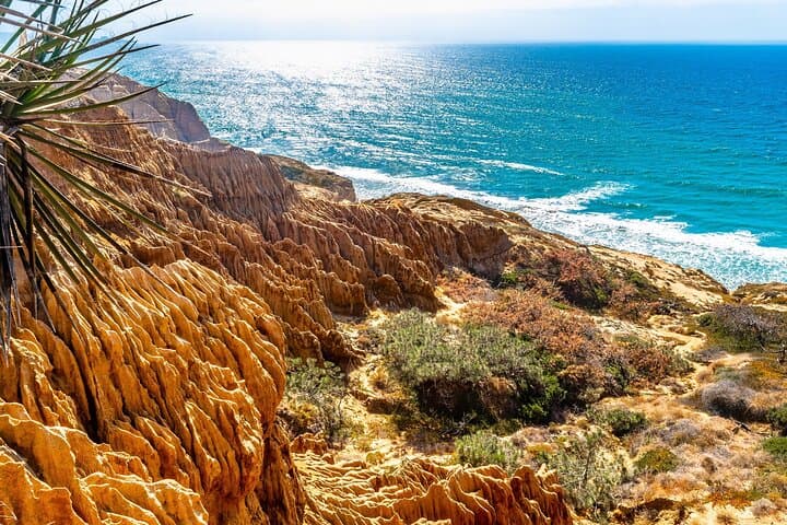 Beaches & Bluffs: San Diego Coastal Driving Tour From Torrey Pines to Point Loma photo 2