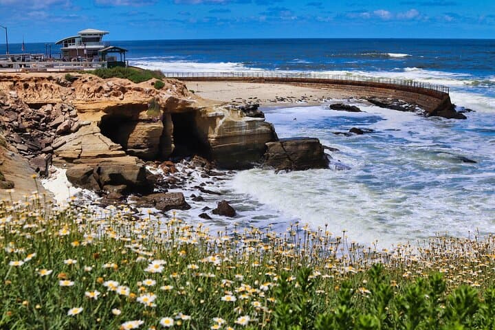 Beaches & Bluffs: San Diego Coastal Driving Tour From Torrey Pines to Point Loma photo 4