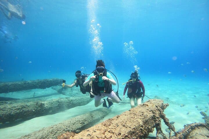 Beginner Scuba Diving in Rincón: Private Guided Reef Dives for First-Timers photo 2