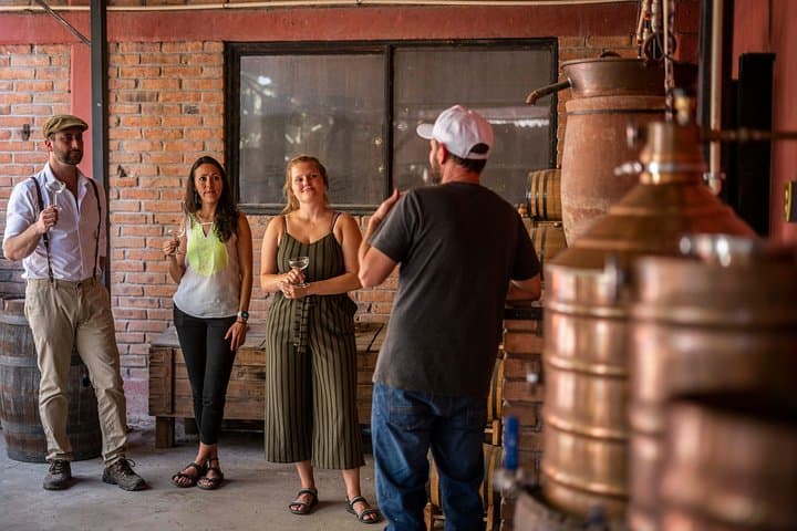 San Luis Potosí Breakfast & Market Walking Tour: Enchiladas, Spirits & Local Markets photo 4