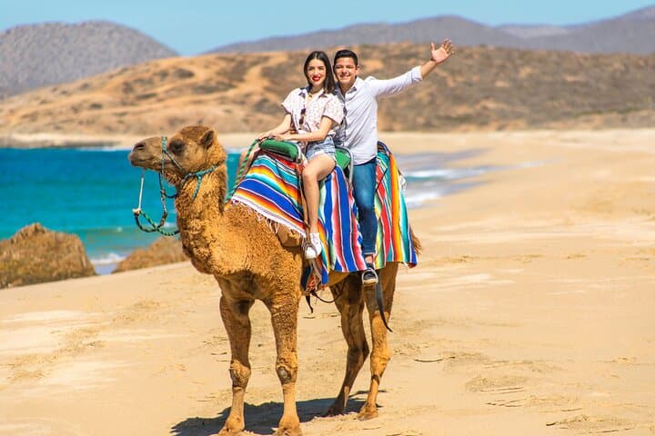 Cabo Camel Ride: 2-Hour Beach & Desert Adventure Along the Pacific