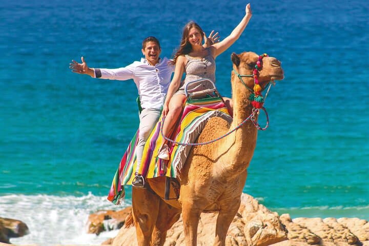 Cabo Camel Ride: 2-Hour Beach & Desert Adventure Along the Pacific photo 2