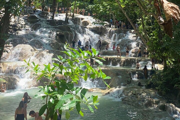 Climb Dunn's River Falls: Private Ocho Rios Tour with Coconut Welcome photo 4
