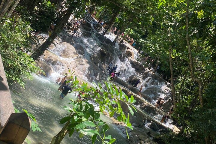 Climb Dunn's River Falls: Private Ocho Rios Tour with Coconut Welcome photo 6