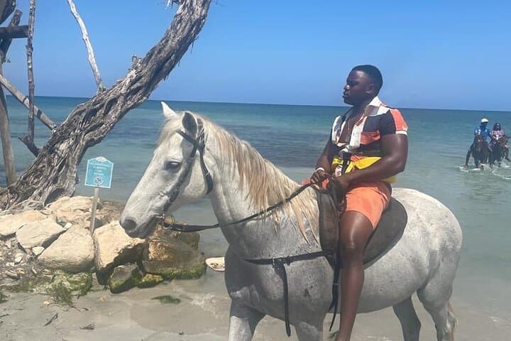Horseback Riding to Blue Hole: Montego Bay Day Adventure