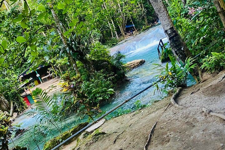 Horseback Riding to Blue Hole: Montego Bay Day Adventure photo 4