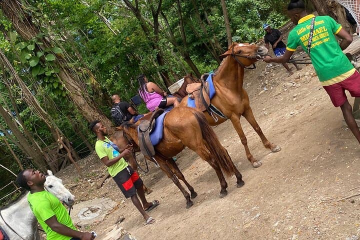 Horseback Riding to Blue Hole: Montego Bay Day Adventure photo 6