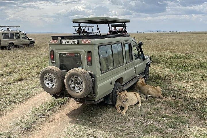 5-Day Budget Camping Safari: Tarangire, Serengeti & Ngorongoro from Arusha photo 2