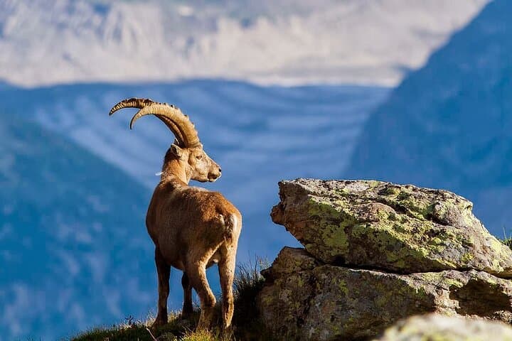 Explore Chania's White Mountains: Nature, Villages & Traditional Cretan Lunch