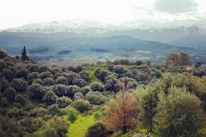 Explore Chania's White Mountains: Nature, Villages & Traditional Cretan Lunch photo 2