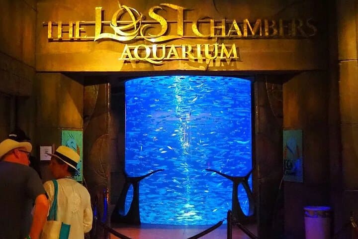 Atlantis Aquaventure & Lost Chambers — Palm Jumeirah Full-Day Waterpark Pass