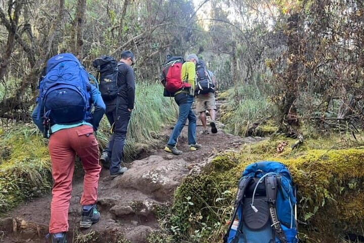 7-Day Rongai Route Kilimanjaro Trek — Private Ascent to Uhuru Peak photo 3
