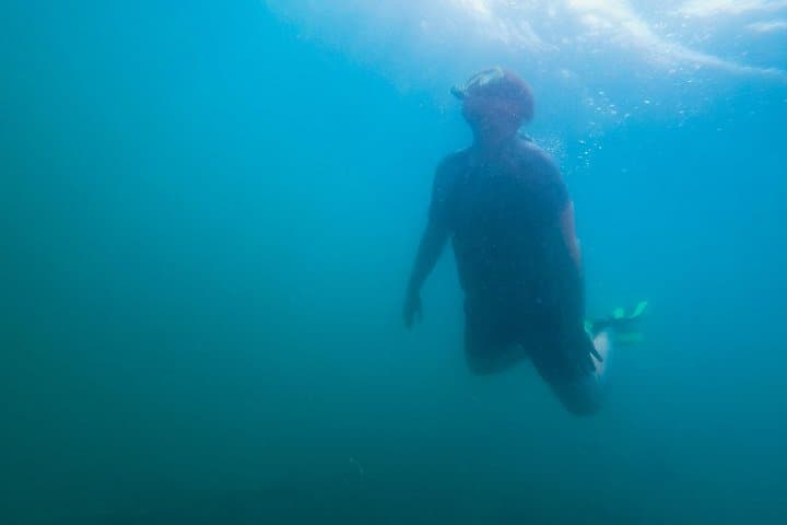 Bali Tropical Snorkeling & Mangrove Cruise from Tanjung Benoa photo 2